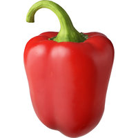 Een afbeelding van AH Paprika rood