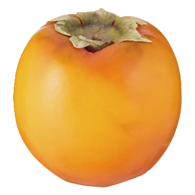 pdp-image-AH Kaki fruit