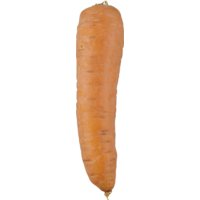 Een afbeelding van AH Winterpeen