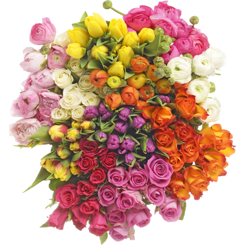 Een afbeelding van AH Ranonkels