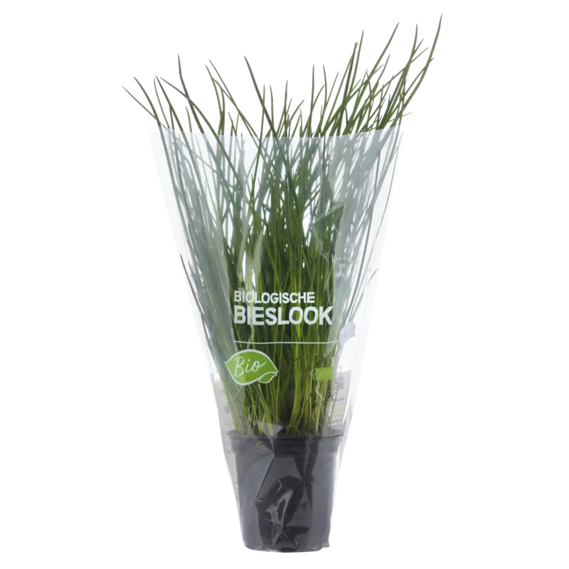 AH Biologisch Bieslook pot