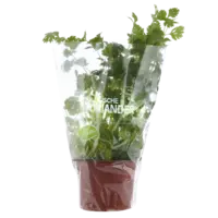AH Biologisch Koriander pot
