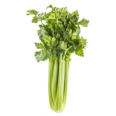 pdp-image-AH Groene selder bel