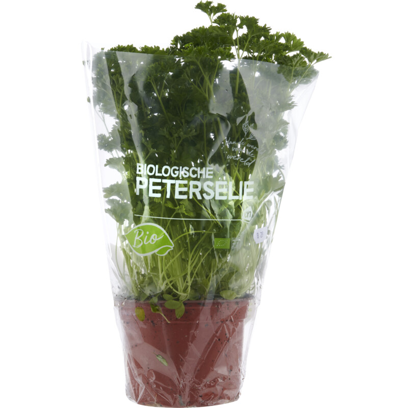 Een afbeelding van AH Biologisch Peterselie pot