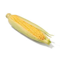 AH Maiskolf
