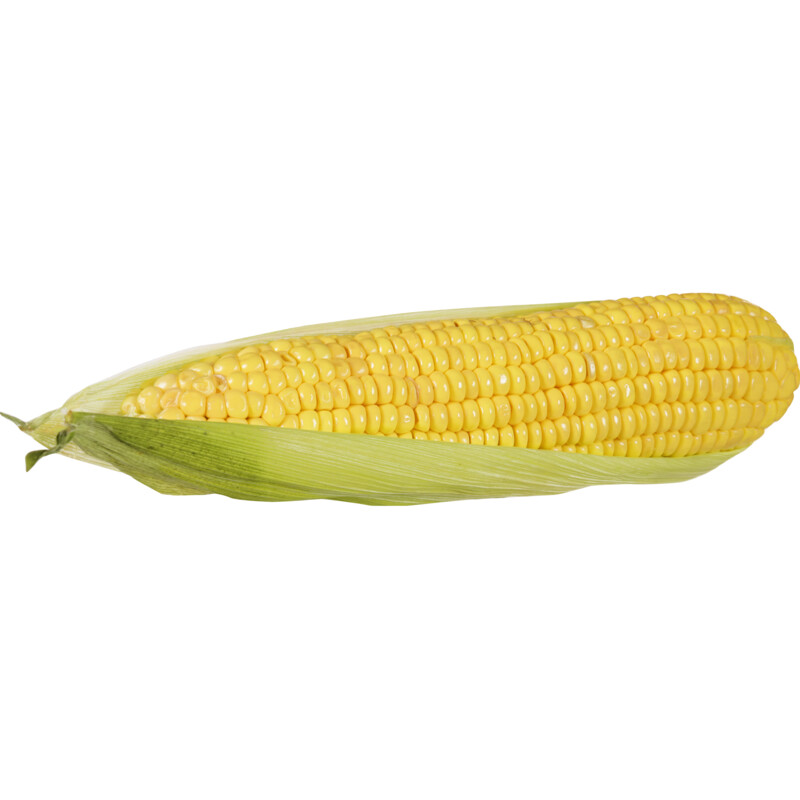 Een afbeelding van AH Maiskolf
