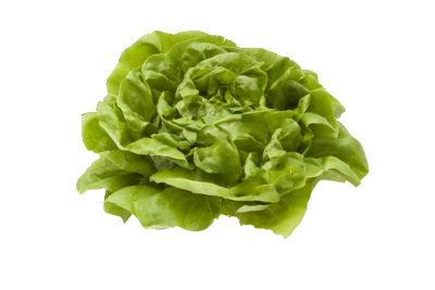 pdp-image-AH Kropsla