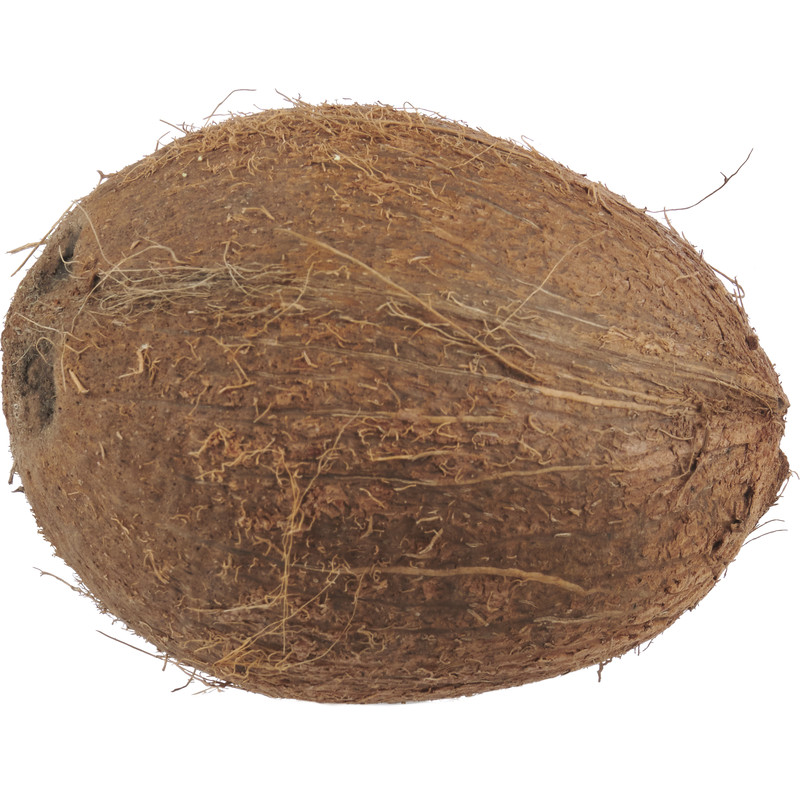 Bevatten gips uitzending AH Biologisch Kokosnoot bestellen | Albert Heijn
