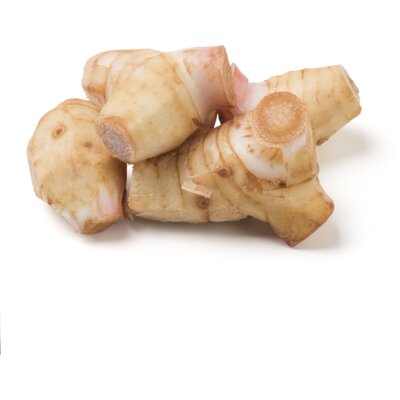 pdp-image-Blue River Laos