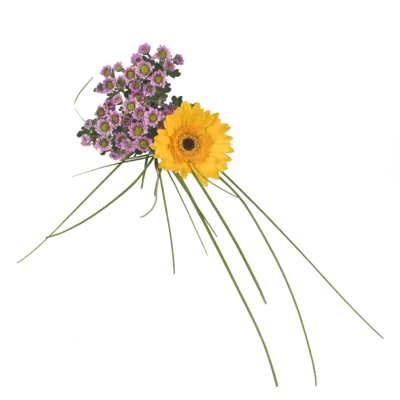 pdp-image-AH Gemengde bloemen