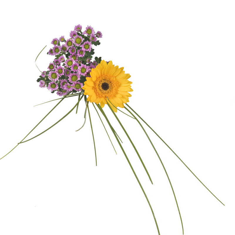 Een afbeelding van AH Gemengde bloemen