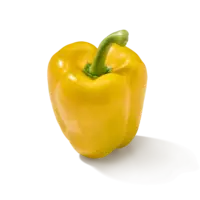 AH Paprika geel