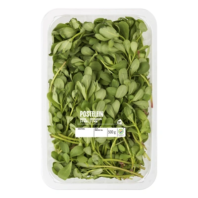 pdp-image-Ah postelein 500 gram
