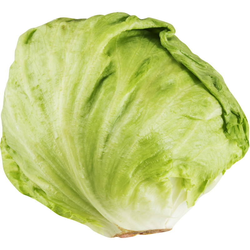 Een afbeelding van AH IJsbergsla