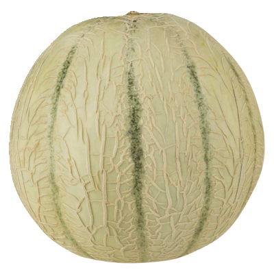 pdp-image-AH Biologisch Cantaloupe meloen