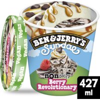 Een afbeelding van Ben & Jerry's Berry revolutionary sundae non-dairy