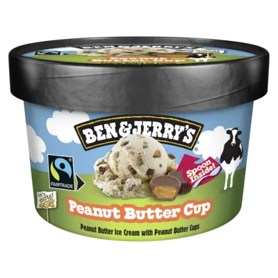 pdp-image-Ben & Jerry's Peanut butter cup