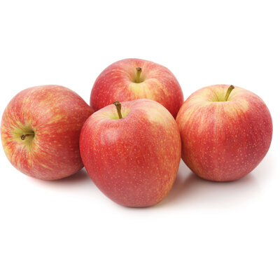 pdp-image-AH Biologisch Gala schaal