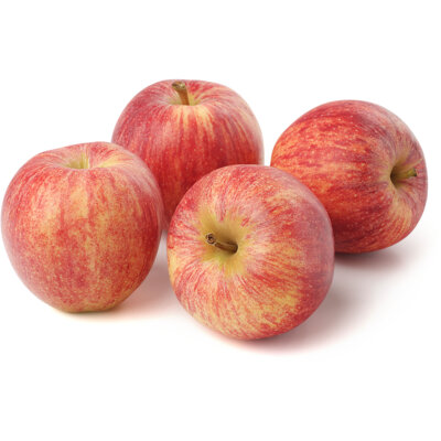 pdp-image-AH Gala schaal