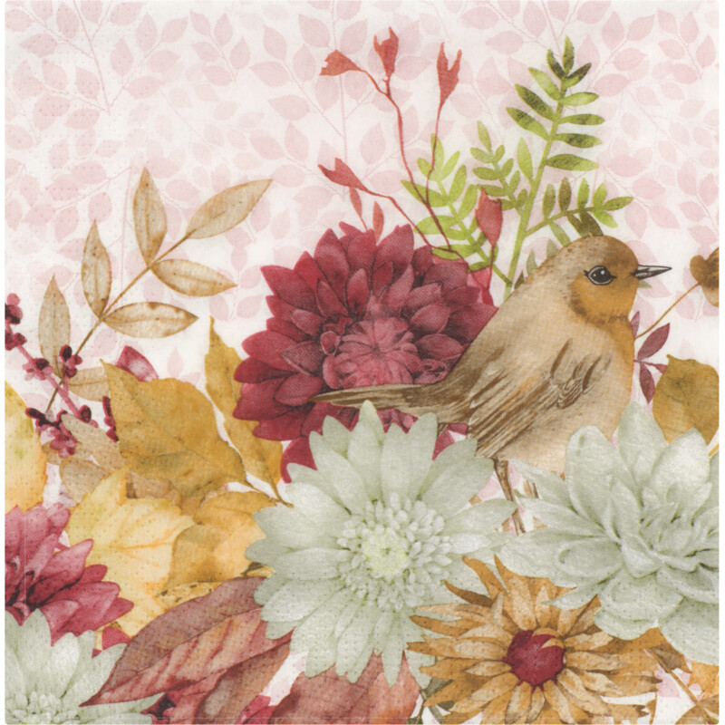 Een afbeelding van AH Servet roodborstje