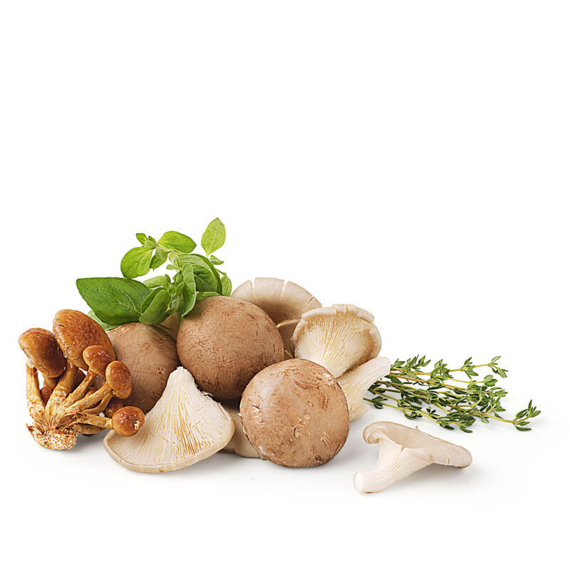 Uit de keuken van Levine: Pasta met paddenstoelen en mascarpone
