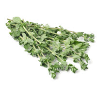 Een afbeelding van AH Oregano