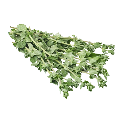 pdp-image-AH Oregano