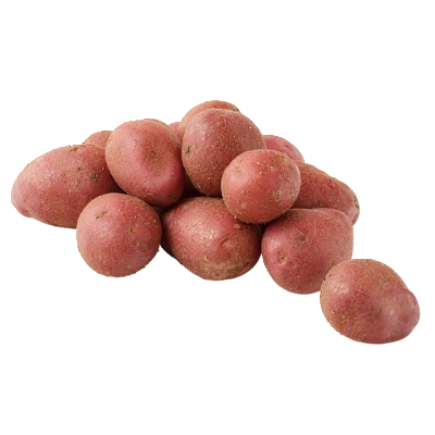 pdp-image-AH Biologisch Iets kruimige roodschillige aardappelen