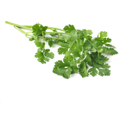 pdp-image-AH Koriander grootverpakking