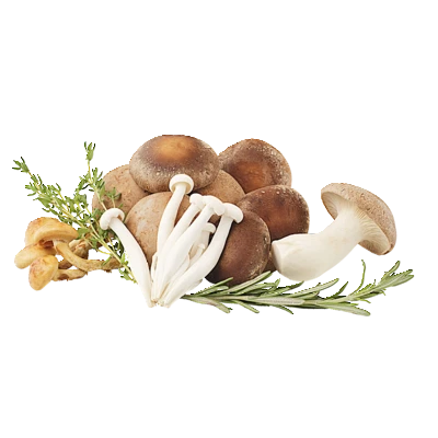 pdp-image-AH Paddenstoelen voor risotto
