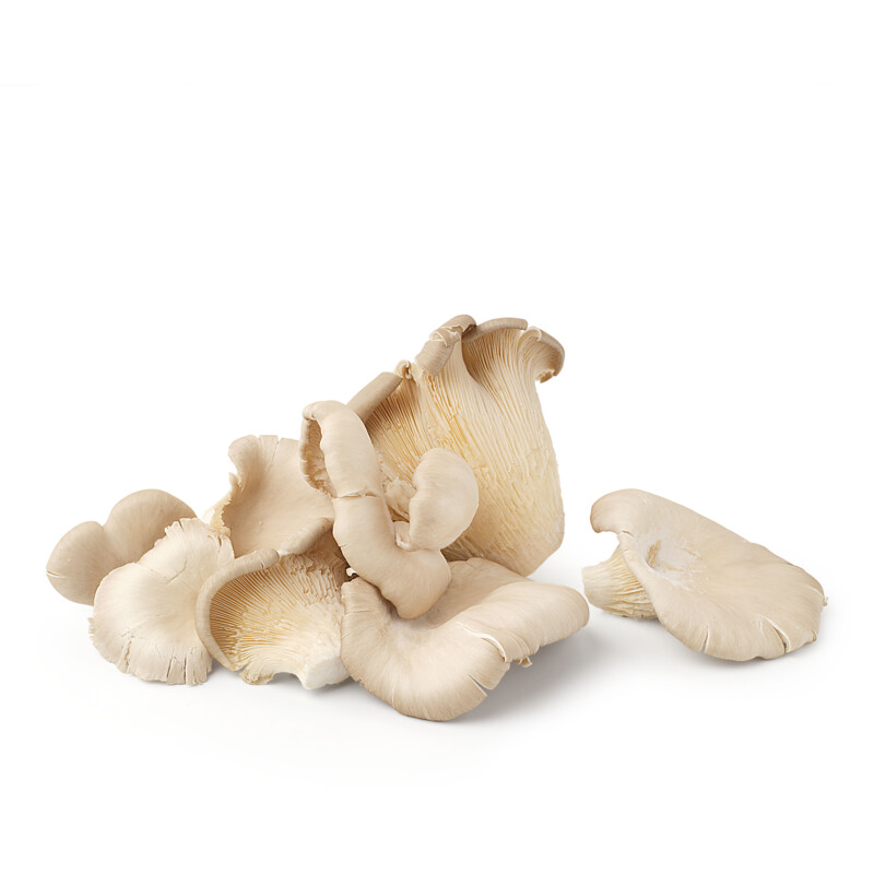 Een afbeelding van AH Biologisch Oesterzwammen