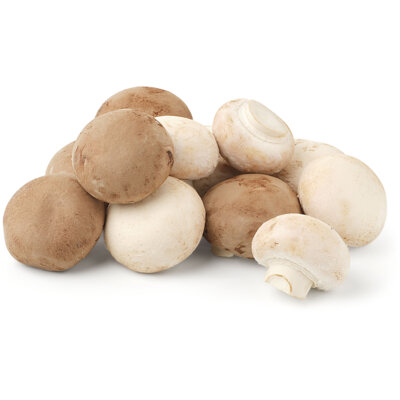 pdp-image-AH Witte & kastanje champignons