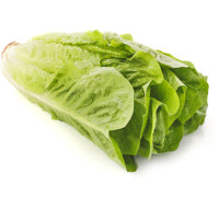 Een afbeelding van AH Biologisch Romaine sla