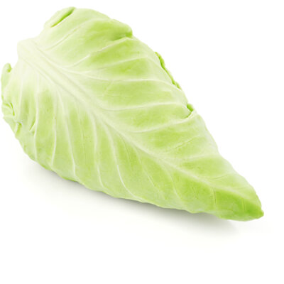 pdp-image-AH Biologisch Spitskool