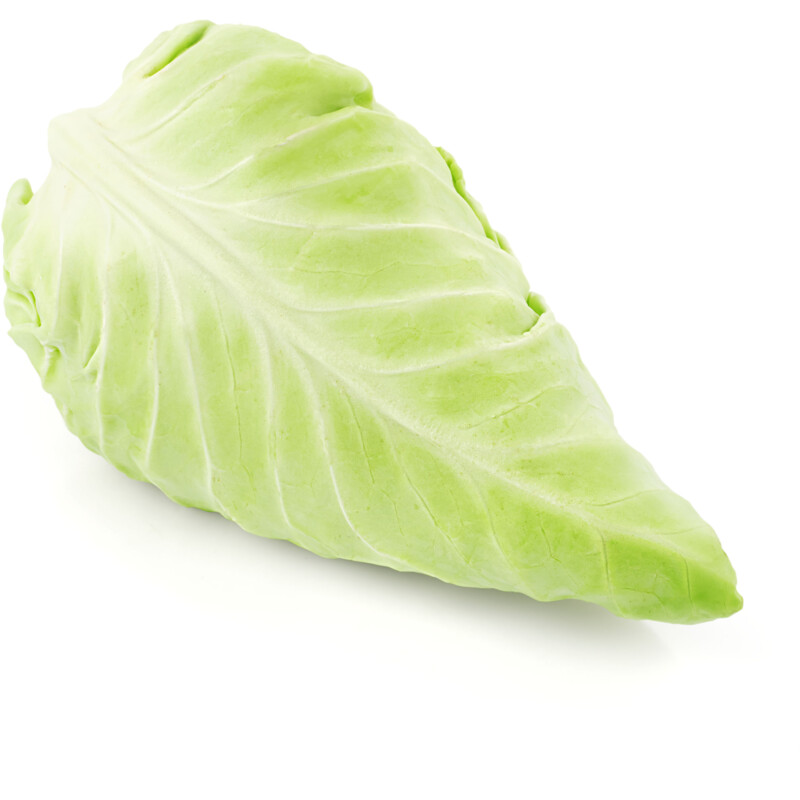 Een afbeelding van AH Biologisch Spitskool
