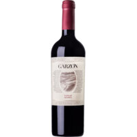 Afbeelding van Garzon Reserva Tannat