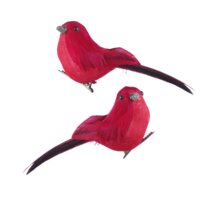 Een afbeelding van Decoris Vogeltje op clip rood