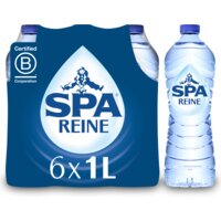 Een afbeelding van Spa Reine mineraalwater 6-pack bel