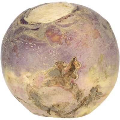 pdp-image-AH Biologisch Koolraap