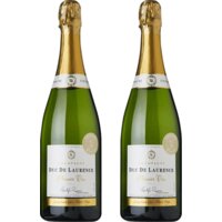 Een afbeelding van AH Excellent Champagne premier cru brut 2-pack