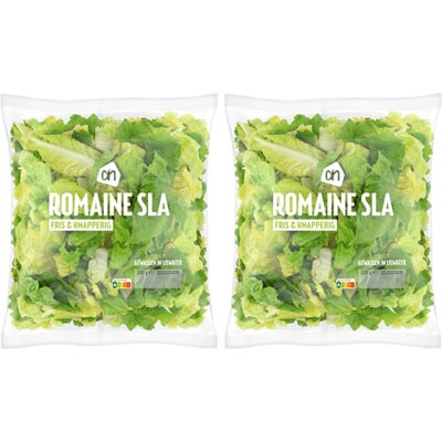 pdp-image-AH Romaine sla 2-pack