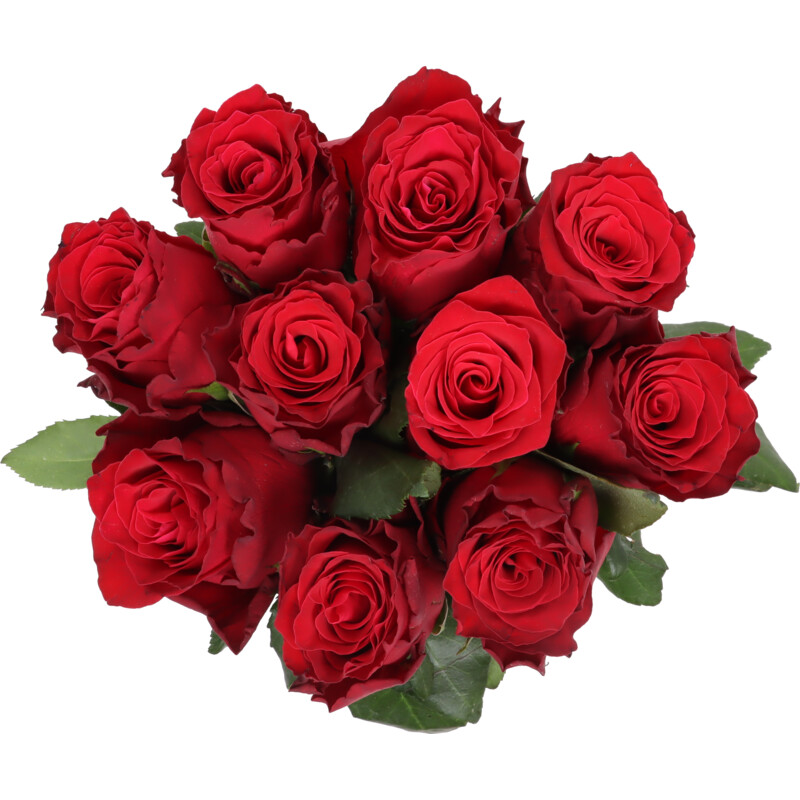 Een afbeelding van AH Luxe rozen warm