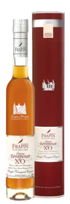 pdp-image-Frapin Fontpinot cognac X.O.