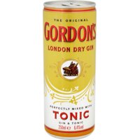 Een afbeelding van Gordon's Gin & tonic