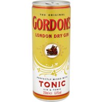 Een afbeelding van Gordon's Gin & tonic