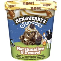 Een afbeelding van Ben & Jerry's Marshmallow & s'more