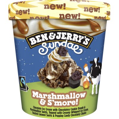 pdp-image-Ben & Jerry's Marshmallow & s'more