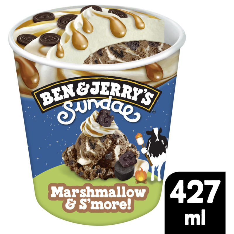 Ben & Jerry's Marshmallow & s'more bestellen Albert Heijn