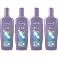 Een afbeelding van Andrélon 2in1 Shampoo Conditioner Pakket