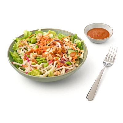 pdp-image-AH Terra Plantaardige maaltijdsalade udon noodles